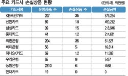 “외형확대 경쟁이 카드상품 손실초래”