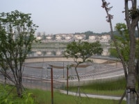 다양한 테마로 만나는 도심 속 자연 공간!