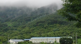 “절임배추 믿고 살 수 있는 곳 없나요?”