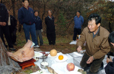 [포토 뉴스]거두1리 서낭제
