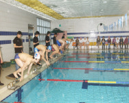 [포토뉴스]횡성한우배 수영대회