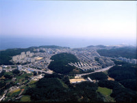 [민선4기 도약을 위한 선택]동해시 인구 늘리기·경제도약 강력추진