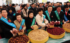 “청정 강원농특산물 사가세요”