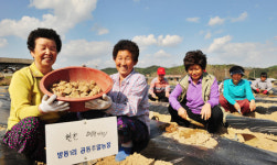 [포토뉴스]“감자 심으러 오세요”