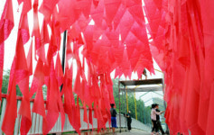 마임부산남산지사 | [포토뉴스]"마임 보러 오세요"
