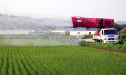 [고성]‘탑라이스’ 재배기술도 ‘명품’