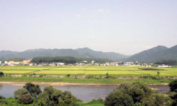 [新 강원기행]<17>홍천군 화촌면 외삼포1리 ‘대평마을’