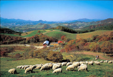 [주말 엔터]아시아의 알프스