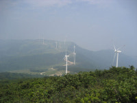 [백두대간 답사기](9)매봉~소황병산~노인봉~진고개