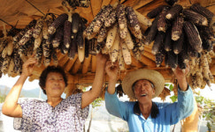 [포토뉴스]‘풍성한 가을’