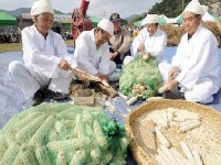 [원주]“웰빙 식품 잡곡 많이 드세요”