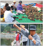 [People & Life]평창군 진부면 거문리 장수마을