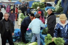 [포토뉴스]“싸고 맛있는 배추 많이 사가세요”
