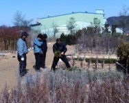 [포토뉴스] 홍천군 산림조합 나무시장 개장