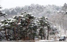 [포토뉴스] 대관령은 한겨울