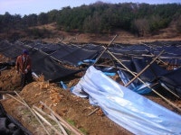 폭설에 도둑까지 농가 ‘설상가상’