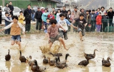 [포토]매화아래 추억 한가득