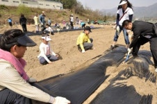 [원주]“텃밭 가꾸며 가족애 키웠어요”