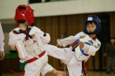 [인제]내일 제8회 인제군수기 태권도대회