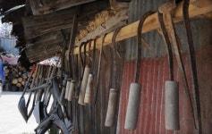 [新 강원기행]<47> 강릉시 왕산면 대기리