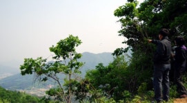 [주말 엔터]테마임도를 찾아서