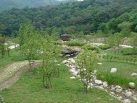 [홍천]녹색이 숨쉬는 공작산으로 떠나볼까