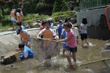 화천지역 평화생명지대(PLZ) 관광 인기