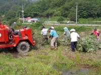 [포토뉴스]양양 명지리 퇴비생산운동 `구슬땀
