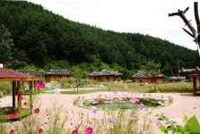 [도농상생프로젝트]산촌 체험관광 부농  꿈 활짝