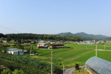 [新강원기행]  홍천군 화촌면 내삼포리 수라상마을
