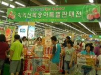 원주 치악산 복숭아 `인기 만점