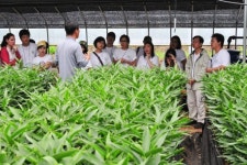 [인제]한국 농촌에서 값진 체험했어요