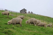 [포토뉴스]가을 길목…