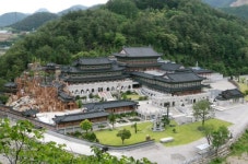 [한국박물관 100년]자연의 역사·인류문명 흐름 한눈에