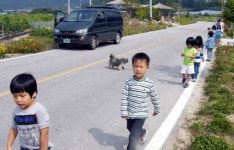 [원주]서곡초교 통학로 안전장치 미확보 위험