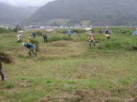 [인제]11년간 무연고 묘 돌본 훈훈한 인심