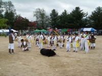 [향토문화를 찾아서]아버지에서 아들로 … 100년을 이어온 겨울철 공동체 사냥