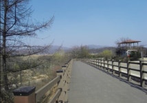 [철원]철원군 `DMZ 산소길 만든다