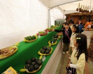 [포토뉴스]홍천내촌농협 너브내 단호박축제