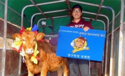 [산소길 강원 3,000리-2009 대행진] 이 모 저 모