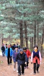 [강원 3,000리-2009 대행진]금병산 산책로를 따라서