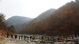 [강원 3,000리-2009 대행진]`울긋불긋 물든 두타연
