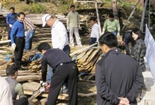 [포토뉴스] 평창군농업기술센터 농축산과 봉사활동