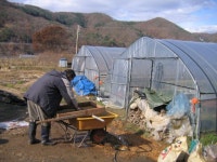 정부가 밀어 붙이는데 농사인들 지을 수 있나