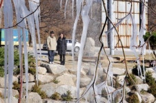 [포토뉴스]동장군 맹위