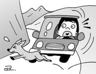 야생동물 생태통로, 모양새만...