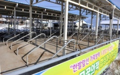 포천서 구제역 추가 확진…철원 농가 `긴장