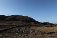 [철원]철원 소이산 생태숲으로 조성