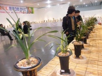 [포토뉴스]원주 난우회 한국 춘란 전시회