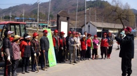 [포토뉴스]화천 동지화마을 매실나무 식재